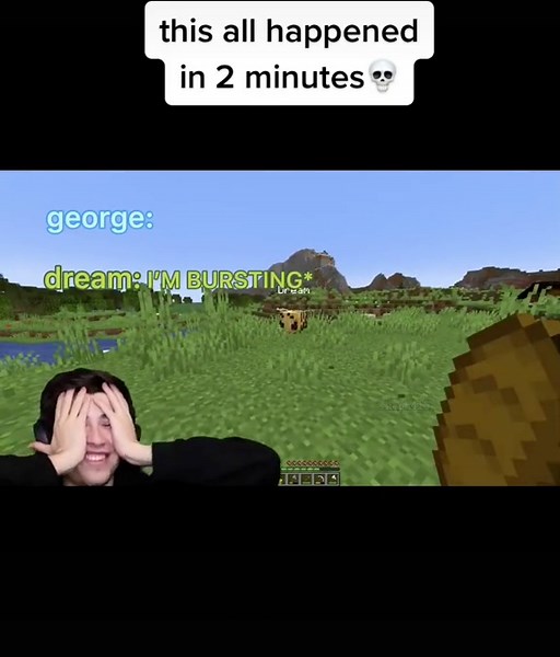 minecraft, but dream is a bee🐝 (#dream #gnf #goggy #george #georgenotfound #dreamwastaken #dwt #minecraft #dnf #dreamnotfound #dnfsupremacy #clips )