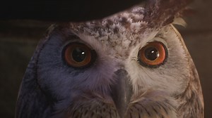 Hogwarts Legacy Cinematic Trailer 4K