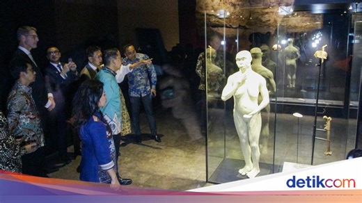 Fosil Berharga Homo Erectus Sang Java Man Dipajang di Museum Nasional