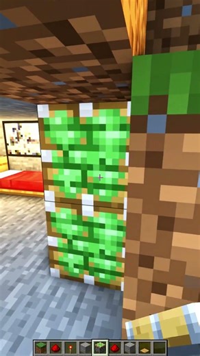 Minecraft Secret Door