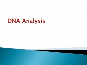 PPT - DNA Analysis PowerPoint Presentation, free download - ID:5945152