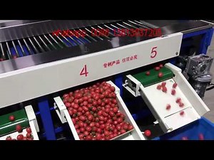 cherry tomato grading machine, grape tomato processing machine