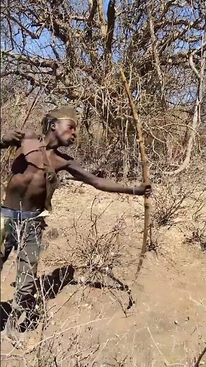 When the Hadza walked forward, they shot arrows at the deer.#deer #usa #africa #hunter