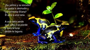 3.1K views · 44 reactions | El sapo verde Ese sapo verde se esconde y...