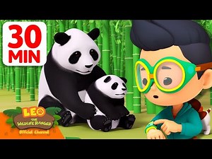 Giant Panda Mom and Her Baby in the Bamboo Forest! 🎍🐼 | 30 Min | Leo the Wildlife Ranger | #animals