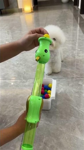 The Perfect Toy for Dogs Who Love Fetch#petsupplies #petfurniture #petlovers #shorts #dogfetch