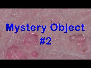 Mystery Object # 2 - Microscope Learning Video Mage Math