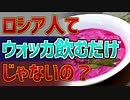 ロシア人だって飯は食べる。至高のロシア料理１４選【VOICEROID解説】