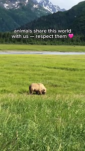 3.6K views · 56K reactions | honor the incredible @janegoodallinst‘s memory by continuing her mission to make the world a kinder place for other animals  | peta2 | Facebook