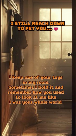 I still reach down to pet you... 💔 | Losing a pet