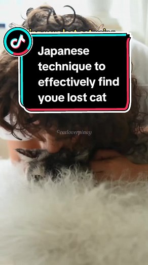 Effective Japanese Technique to Find Your Lost Cat