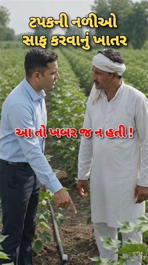 ટપકની નળીઓ પણ સાફ અને પાકને પોષણ | kapas | cotton | drip irrigation| tapak