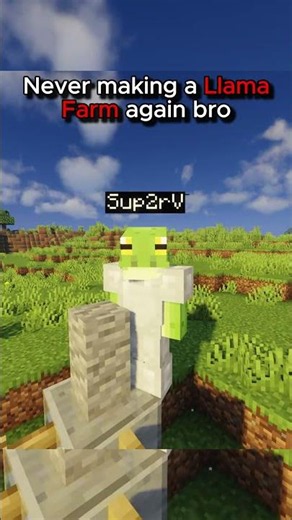 This is how to start a Llama war #minecraft