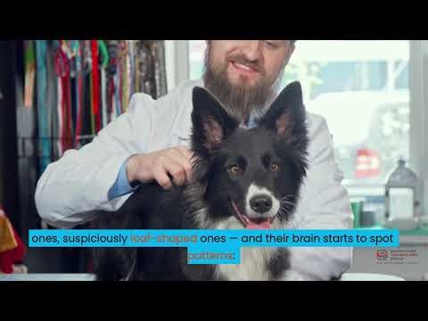 What Is Machine Learning