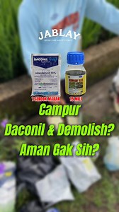 Yakin Campur Daconil & Demolish? Ini Jawabannya! #Daconil #Demolish #Fungisida #PetaniCabe #BenihMaster #TipsBertani #Tokder #PanenMelimpah #TipsPetaniCabe #TipsBertani | Tokder