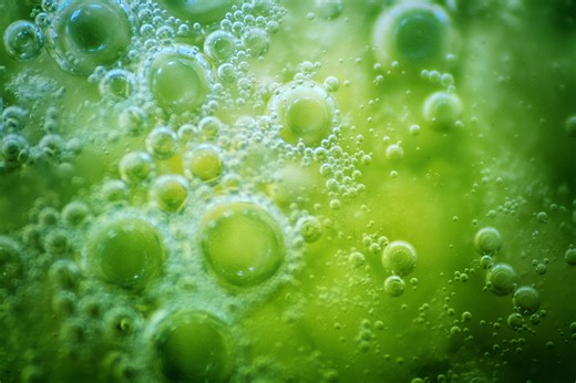 Scientists unite to explore origins of life