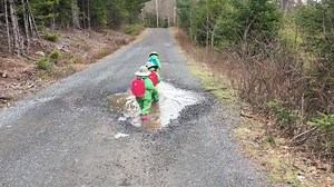 14K views · 336 reactions | Who can resist a puddle! via JukinVideo | HuffPost Alberta | Facebook