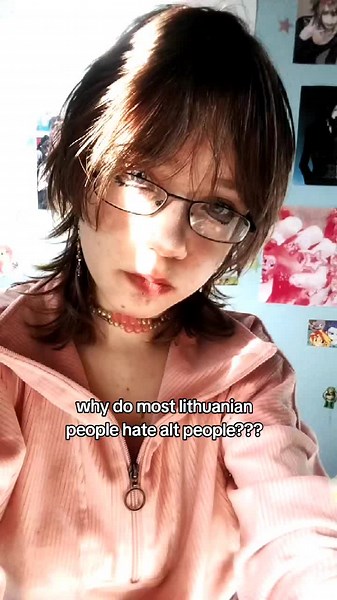 Understanding Attitudes Towards Alt Culture in Lithuania