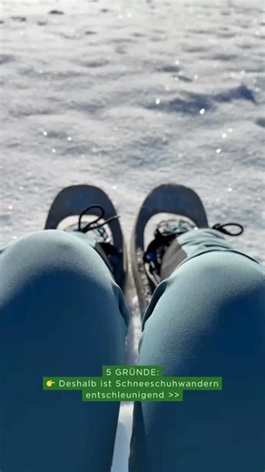 Warum Schneeschuhwandern so entschleunigend wirkt? Weil es dich rausbringt – aus dem Alltag, rein in den Moment. 🌲🏔️ 5 Gründe, warum diese Winteraktivität so guttut: 👉🏼Langsames, bewusstes Gehen 👉🏼Achtsamkeit durch unberührte Natur 👉🏼Keine Technik – volle Konzentration aufs Erleben 👉🏼Rhythmische Bewegung, die den Kopf freimacht 👉🏼Absolute Stille, die das Nervensystem beruhigt 🎥 Mehr dazu im Reel – Ton an & eintauchen! Warst du schon mal mit Schneeschuhen unterwegs? Erzähl’s uns! 👇 