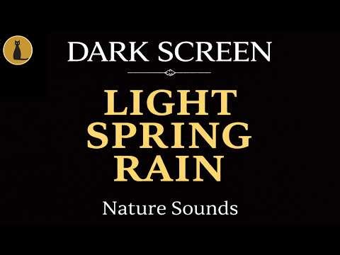 The Rain That Melts Anxiety 🌧️ Light Spring Rain Sound (10 Hours Black Screen)