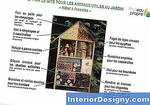 Jardin: Comment Faire Pour Polliniser Des Fleurs De Haricot Écarlate À La Main - 2025 | Fr.Interior-Designy.com