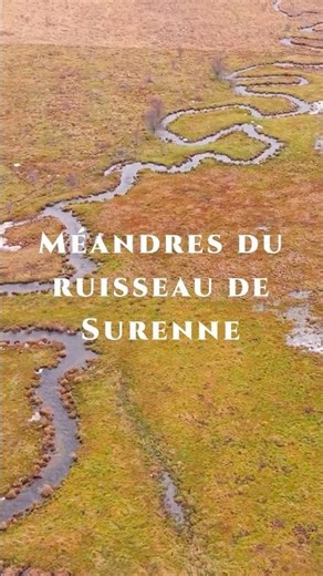 Des méandres, tu sais ce que c’est? Le ruisseau de Surenne.