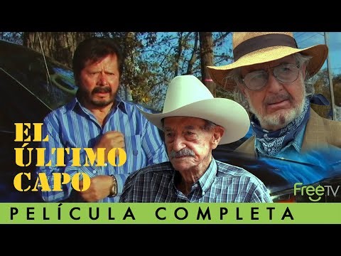 El Último Capo | Mario Almada | Bernabé Melendrez, Hugo Stiglitz | FreeTV