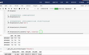 df.dropna(axis=0,subset=['high','close']) 代码分析_哔哩哔哩_bilibili