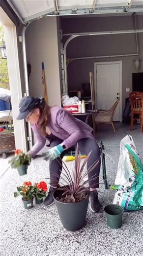 #fyp #springflowers #outdoordecor #planting2020... #Shorts #ohlala_decor