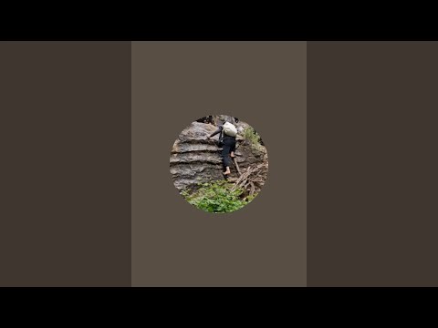 Village Life: The Simple Lifestyle of a Nomadic Family in a Village in the Zagros Mountains