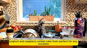 Layered Yoghurt and Raspberry Sorbet Cake A Ref