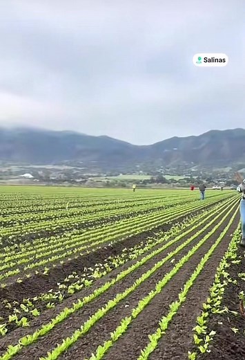 Explore Salinas: Your Next Adventure