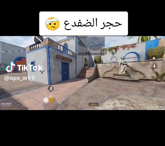 حجر الضفدع: تعرف على تأثيراته ومخاطره