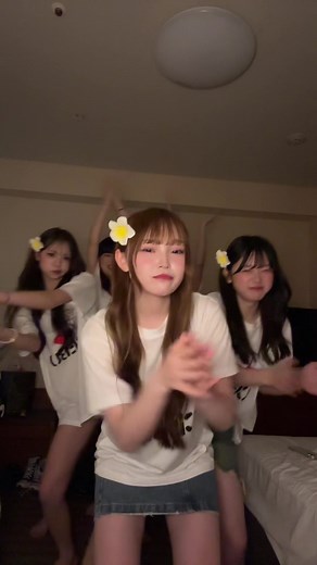 マクメンの楽しいハイビスカスエピソード