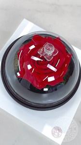 18M views · 566K reactions | Beauty and Chocolate!  The most romantic dessert! #amauryguichon #chocolate #rose | Amaury Guichon | Facebook
