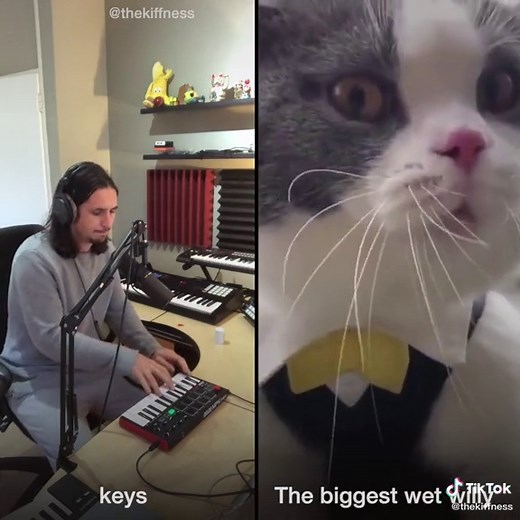 The Kiffness X Big Billy (Live looping talking cat remix) 😺 Full vid on my YouTube #BigBilly #TheKiffness #CatsOfTikTok #TalkingCat #SingingCat #fyp