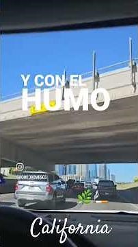 Fumando Mota , Los Lara