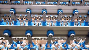 Dive into the advanced world of a modern poultry slaughterhouse where...