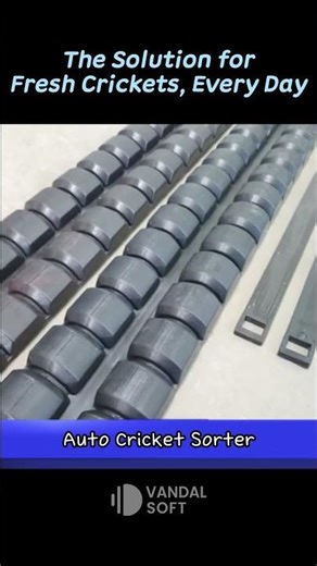 Hedgehog Loves Crickets 🦔 | Smart Cricket Farming Technology