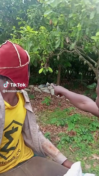 Exploring Cocoa Farming in Ghana: A Unique Journey