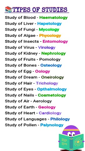 👉TYPES OF STUDIES in english #studies #english #learnenglish #englishlearning #shortfeed #shorts