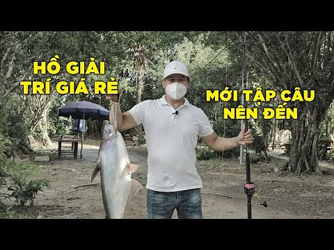 Hồ Câu Cá Giải Trí Giá Rẻ Nhiều Cá Dễ Câu | Chung Nguyễn Fishing