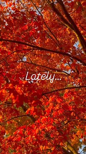 Experience the breathtaking beauty of fall for yourself! 🍁 Check out the Fall Color Tour Route- https://bit.ly/4hkaCFE | Discover Holland