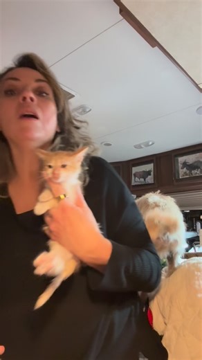 2.1K views · 124 reactions | In a world full of bad news, here’s a...