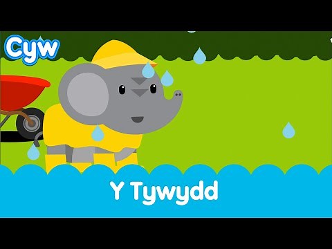 Cân y Tywydd (Sblish Sblosh) | Cyw's Weather Song