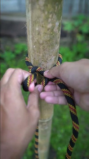 The Most Useful Knot You'll Ever Learn – Bowline Tutorial