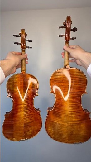 Violin vs Viola 🎻 Which sound wins? #violin #viola #shorts #orchestra