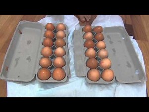 How to do the walking on eggs science experiment