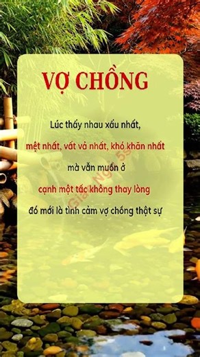 5 Bí Mật GIẤC NGỦ giúp Tươi Trẻ & Thư Giãn hiệu quả