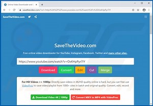 Savethevideo.com Suspicious Website